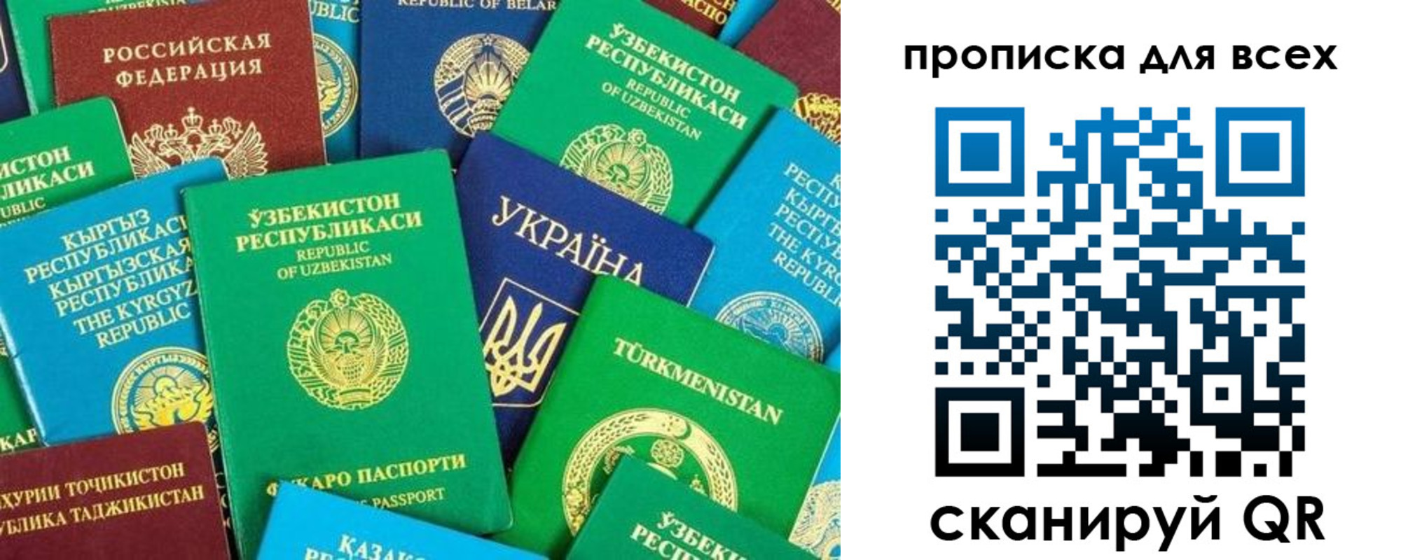 прописка в квартире в Бородино